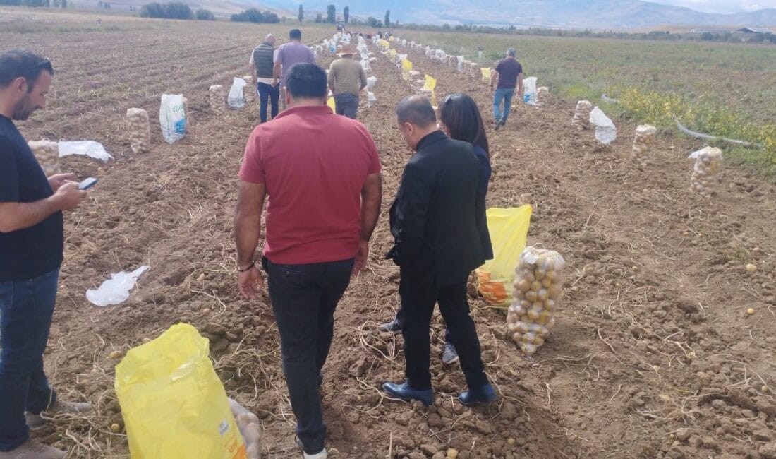 Erzincan’ın Tercan ilçesinde kışlık