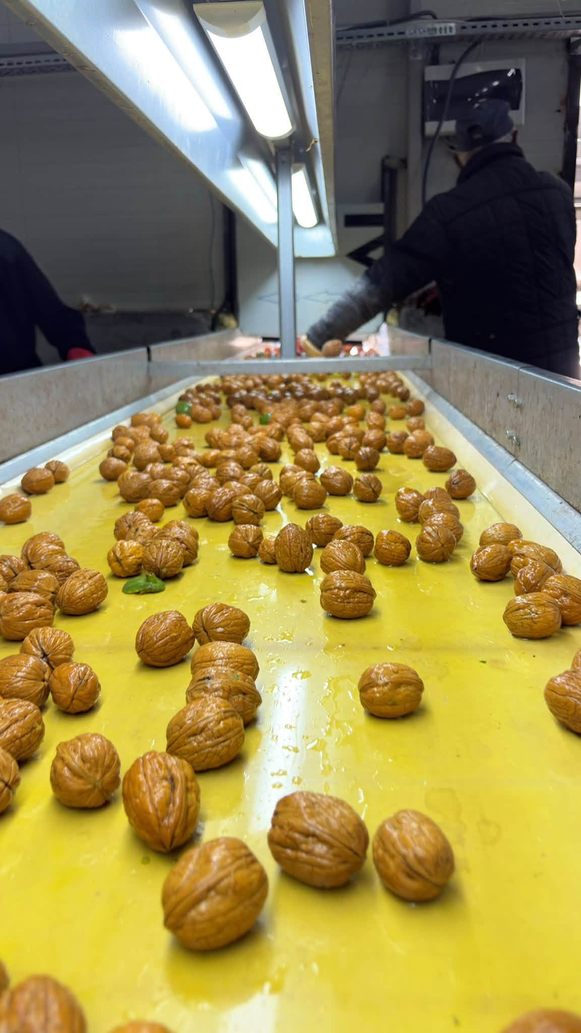 Üreticiler Ürünlerini Özenle Hazırlıyor